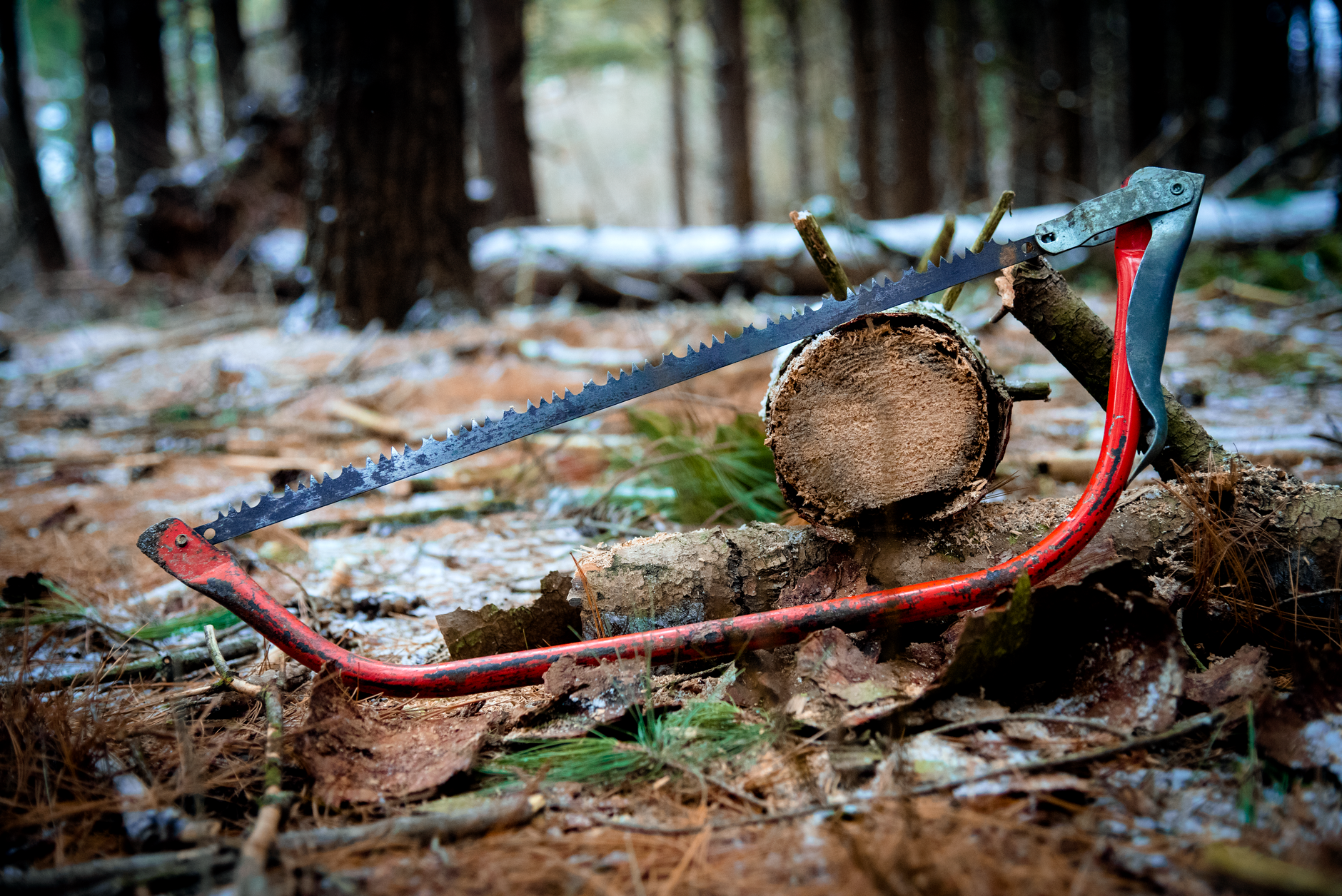 Tree Removal — Rockin S Land Services